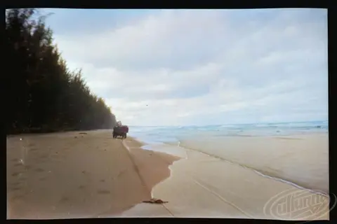Traveling by car on the beaches of the island of Borneo by Sofia Yablonska