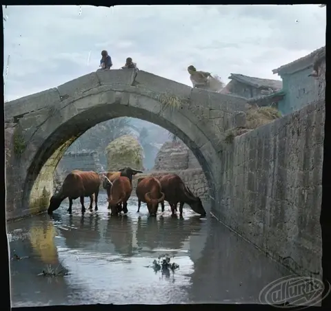 A watering hole under a bridge in a city in Yunnan province by Sofia Yablonska