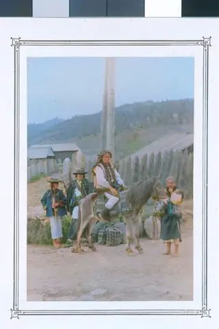 Verkhovyna 5