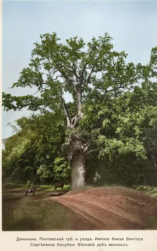 Mazepa's oak from afar