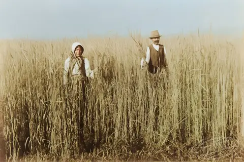 Ukrainian farmers have greatly improved the Paraná region in terms of agro-industry, and this trend continues to this day.