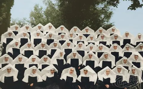 Order of the Sisters of Charity of St. Vincent de Paul
